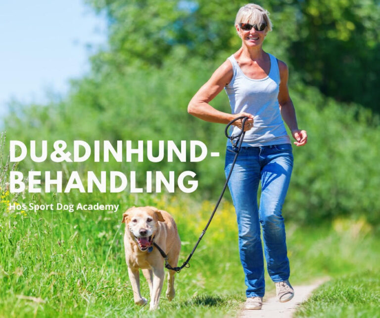 DU&DINHUNDBEHANDLING