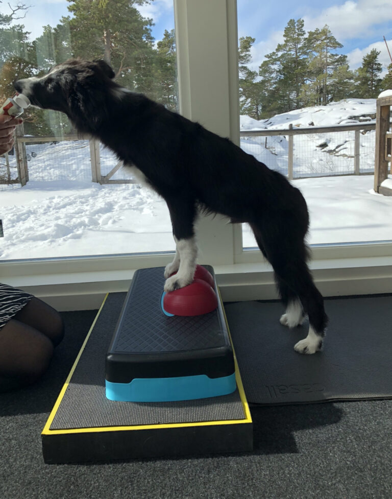 Tåhävningar stärker hand- och tåleder